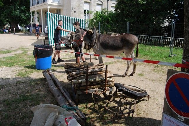 DSC_0255.jpg