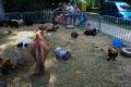 DSC_0432.jpg