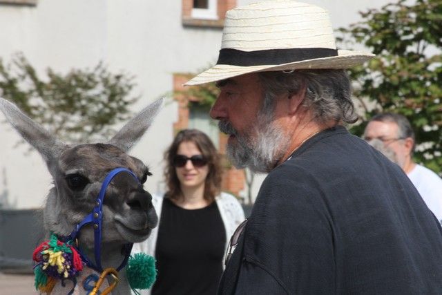 IMG_0818.jpg