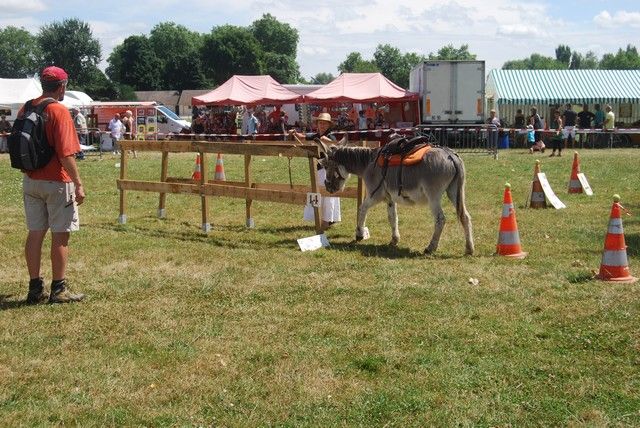 DSC_0344.jpg