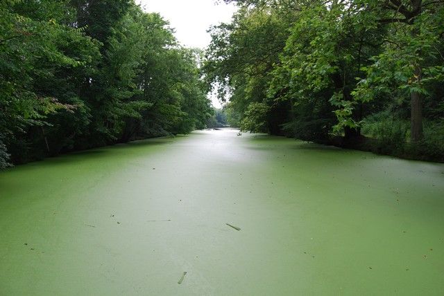 DSC_1547.jpg