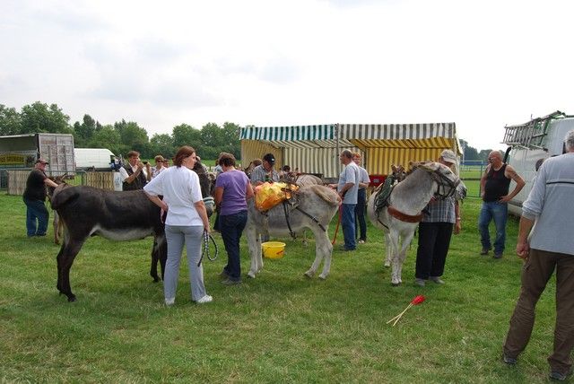 DSC_1552.jpg