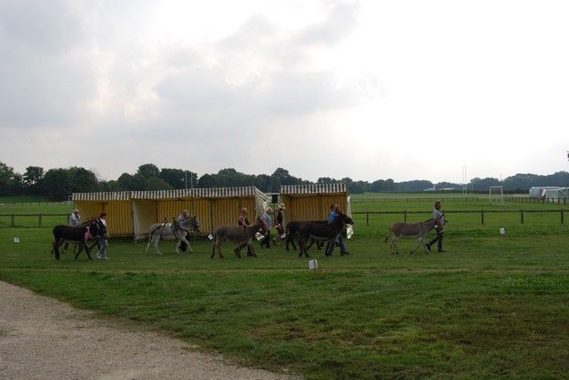 DSC_1562.jpg