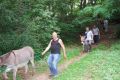 DSC_1596.jpg