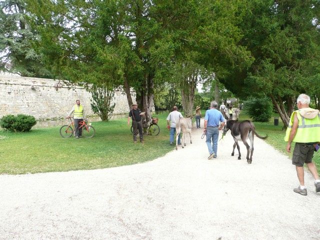P1060652.jpg