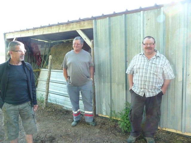P1060341.jpg