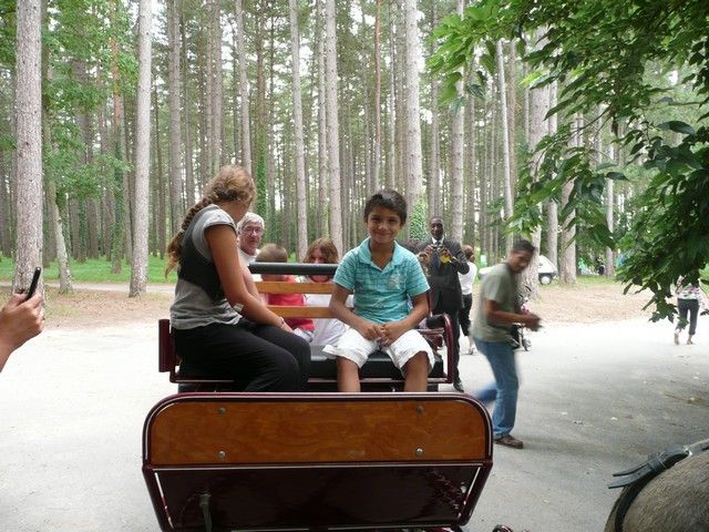 P1040824.jpg