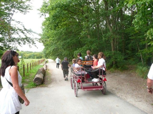 P1040826.jpg