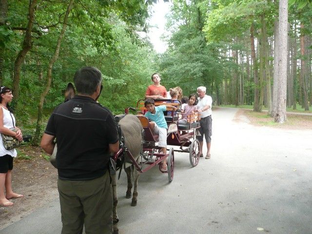 P1040831.jpg