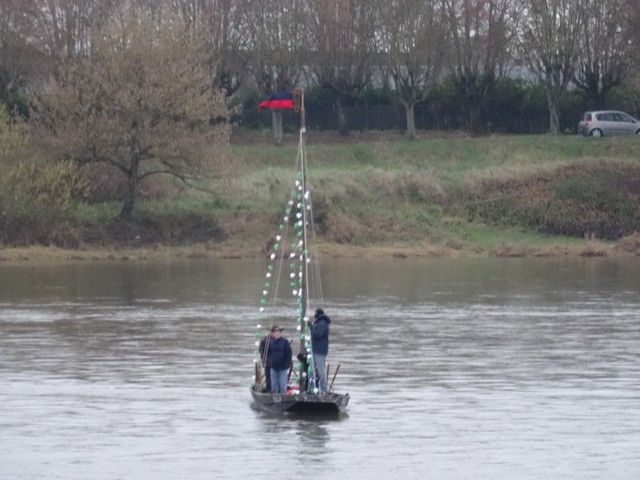 DSC03407.jpg
