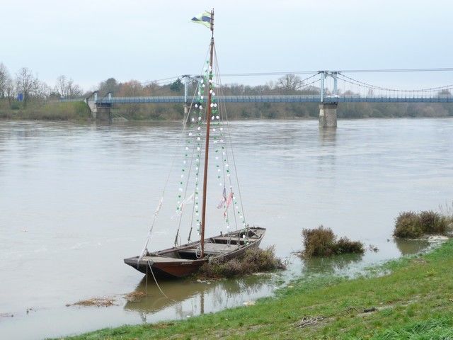 P1070234.jpg