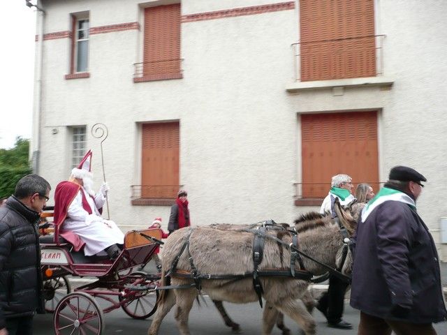 P1070271.jpg