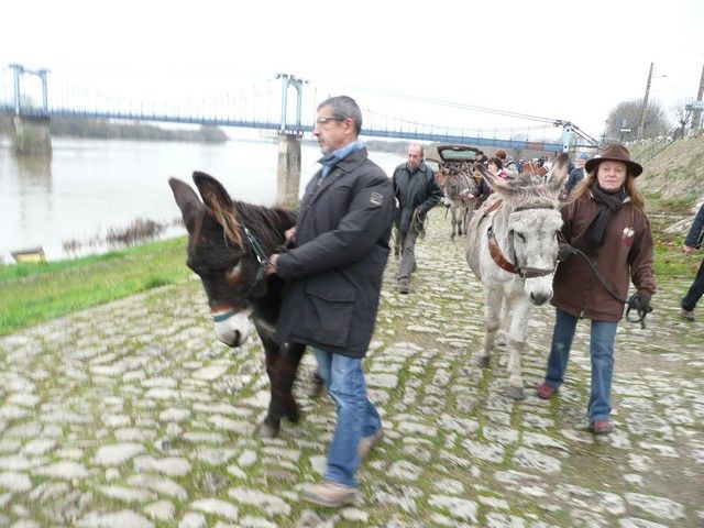 P1070194.jpg