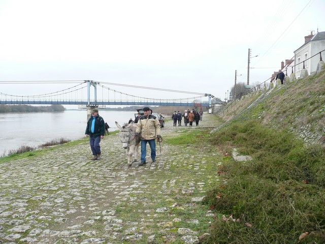 P1070198.jpg