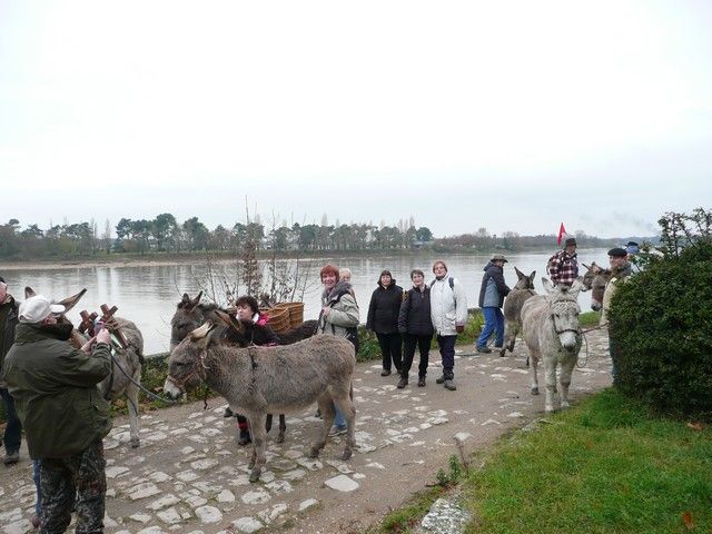 P1070201.jpg