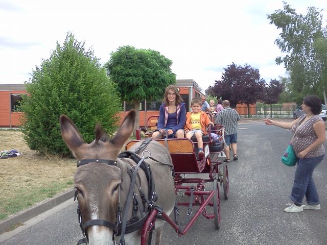 IMG20110708_001.jpg