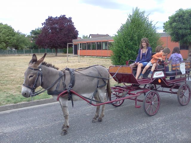 IMG20110708_003.jpg