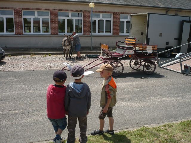 P1030175.JPG