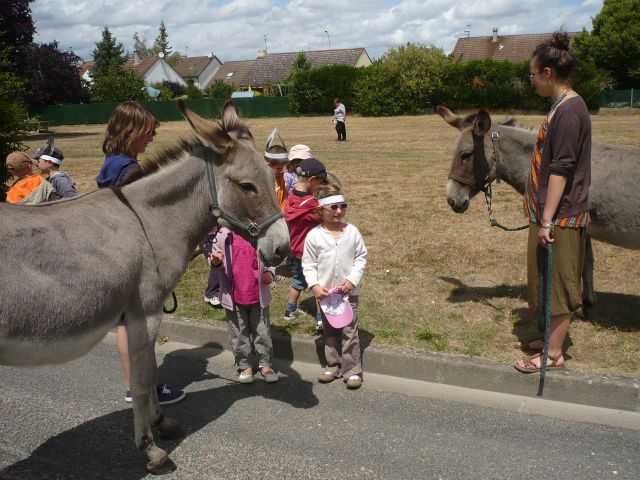 P1030176.JPG