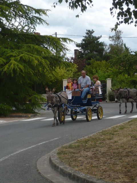 P1030208.JPG