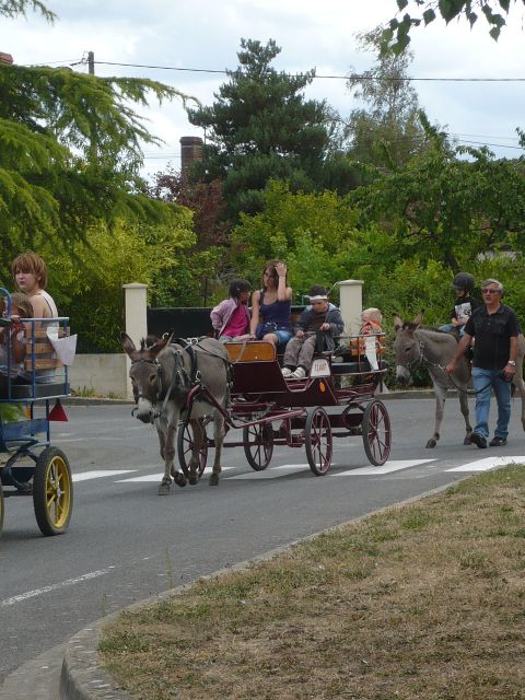 P1030209.JPG