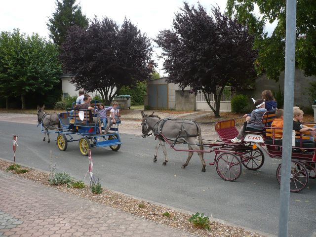 P1030225.JPG