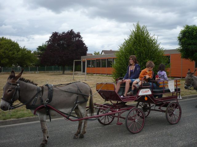 P1030228.JPG