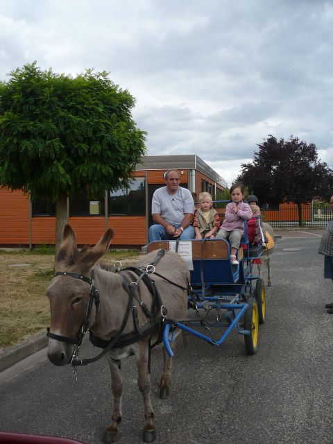 P1030232.JPG