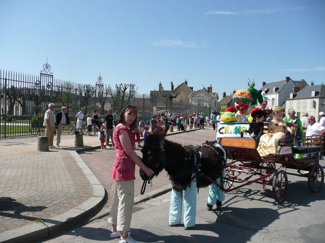 P1030911.jpg