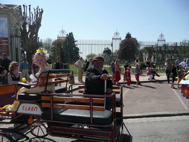 P1030913.jpg