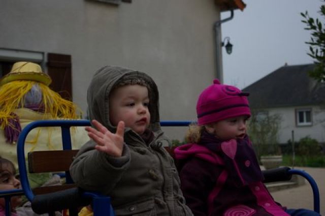 IMGP3975.JPG