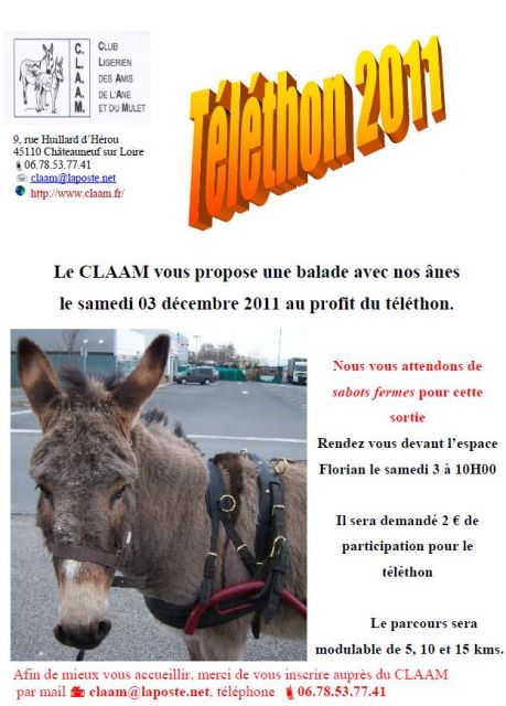 affiche.jpg