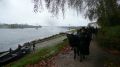 P1050177.jpg